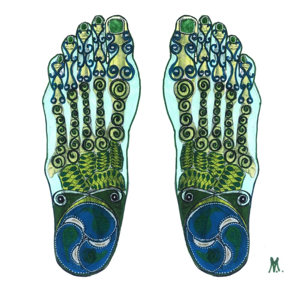 20776484_1756359901329587_5042920884133571014_o