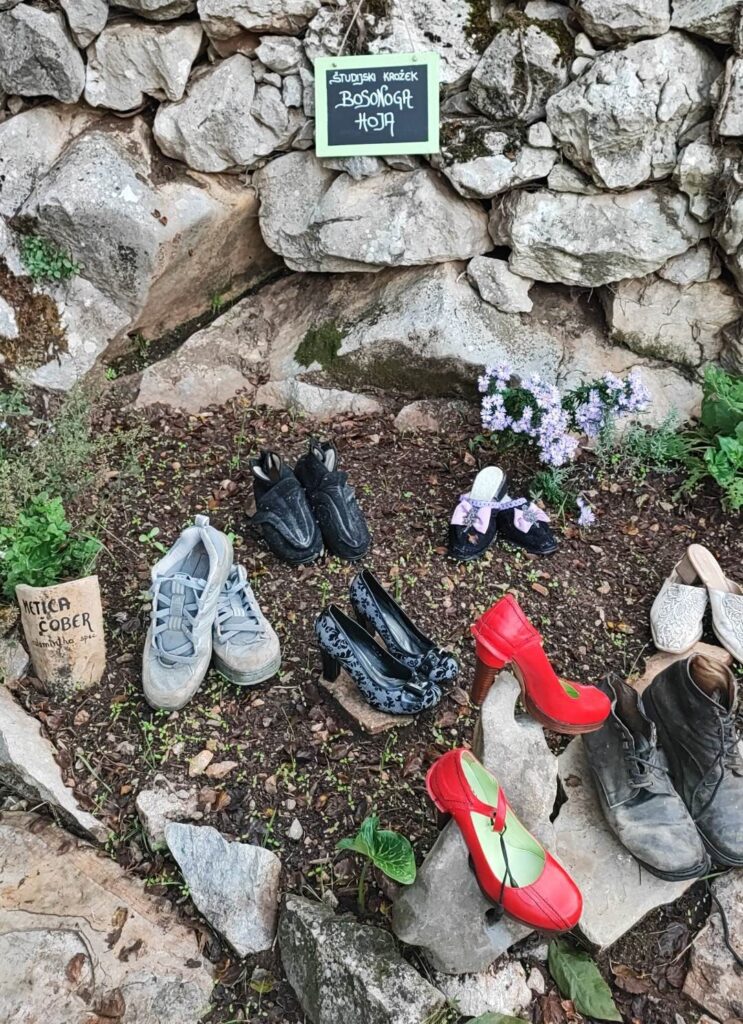 317731652_507183377858628_6817469925734183953_n (1)